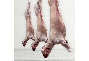 Entero cordero recental