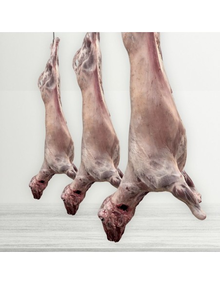 Entero cordero recental