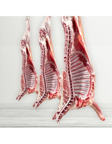 Medio cordero recental