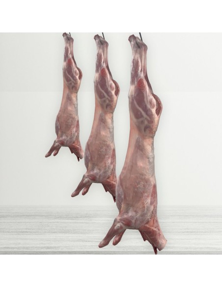 Entero cordero lechal