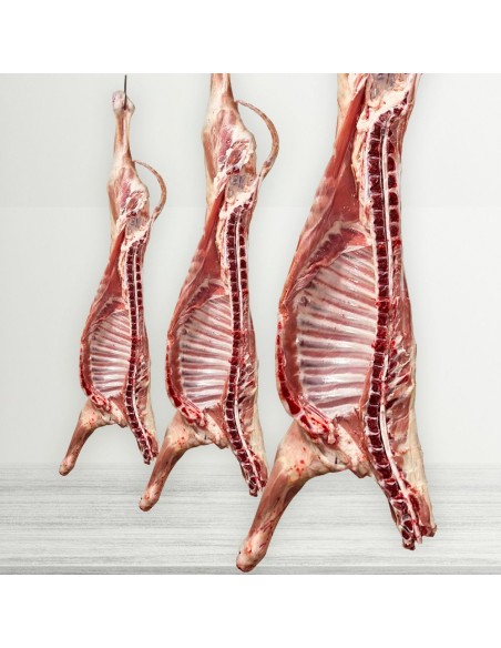 Medio cordero lechal